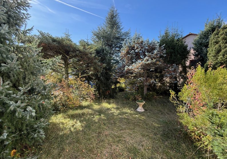 03 - Garten