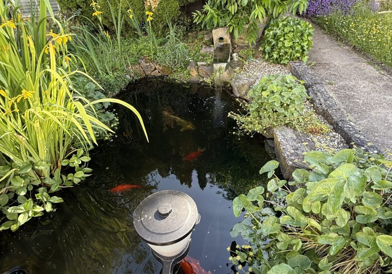 06 - Teich
