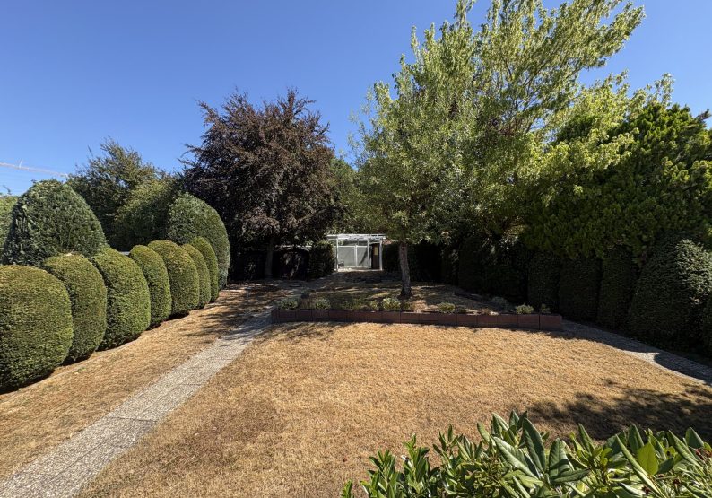 Garten 1