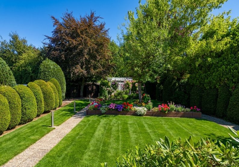Garten 1.1