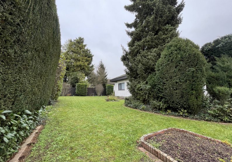 Garten 2
