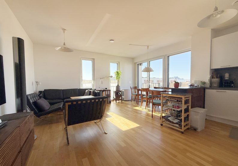 Wohnzimmer mit Küche